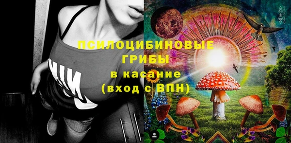 прущие грибы Алексин