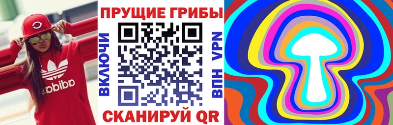 Галлюциногенные грибы Psilocybine cubensis  кракен как зайти  Заволжск  продажа наркотиков 
